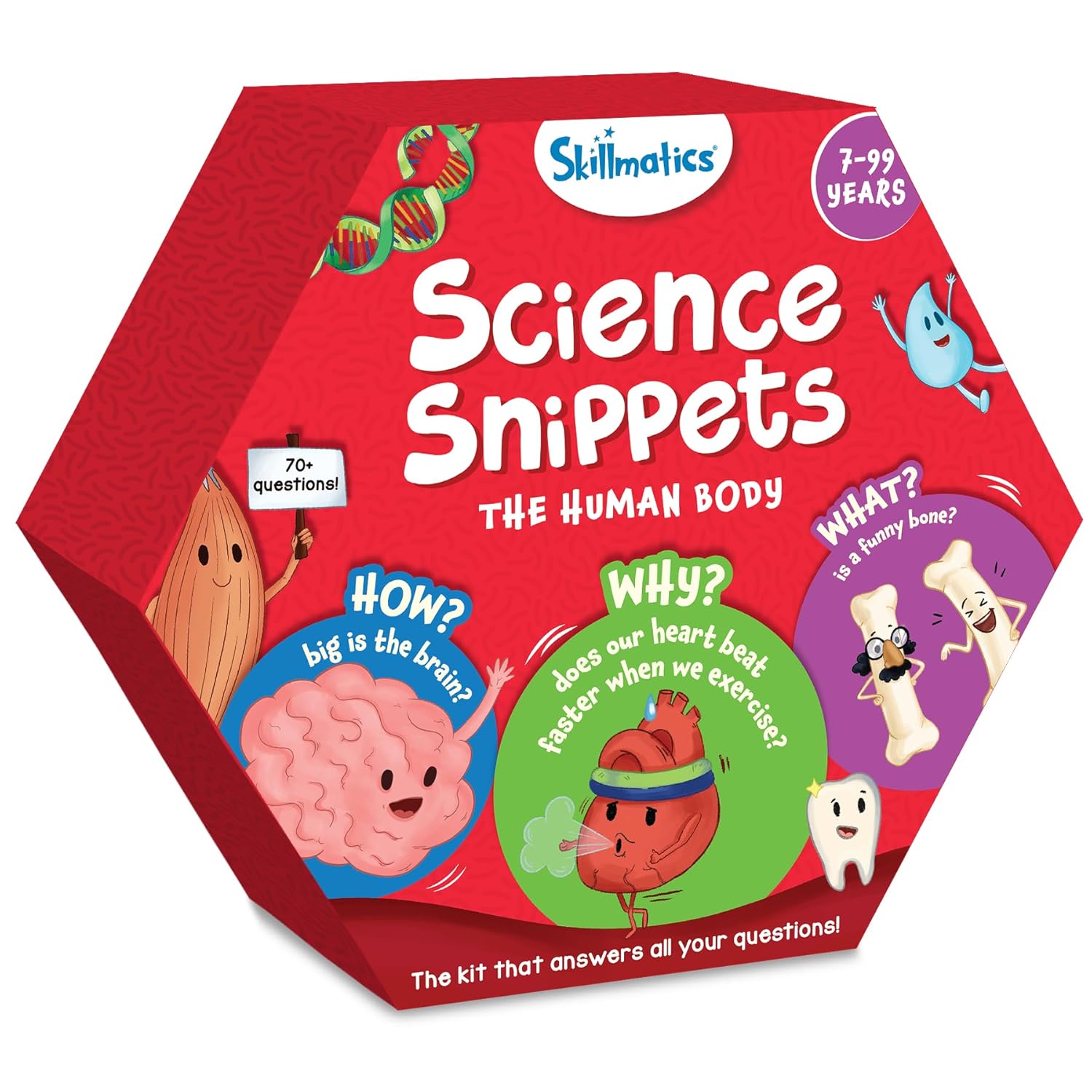 Skillmatics Flash Cards - Science Snippets The Human Body - Image 8