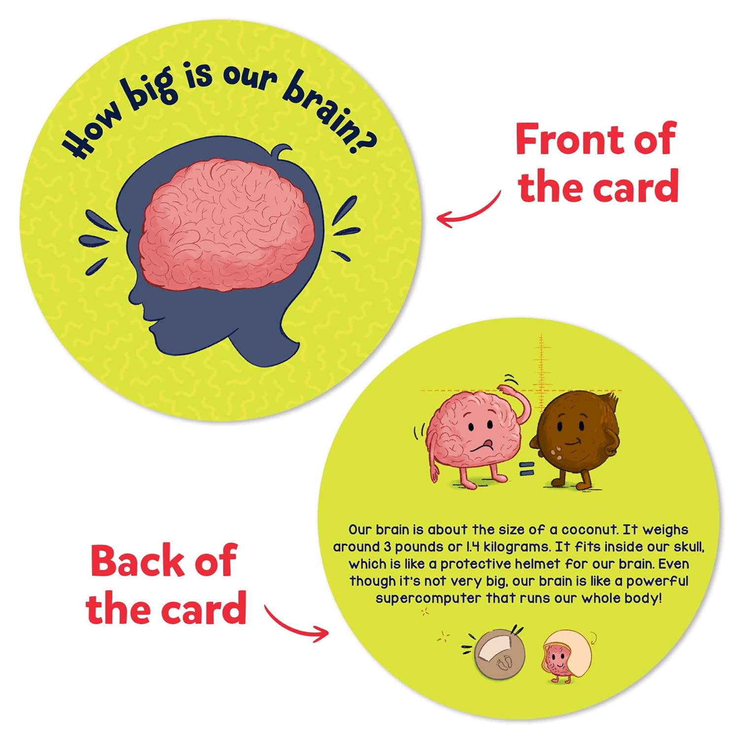 Skillmatics Flash Cards - Science Snippets The Human Body - Image 7