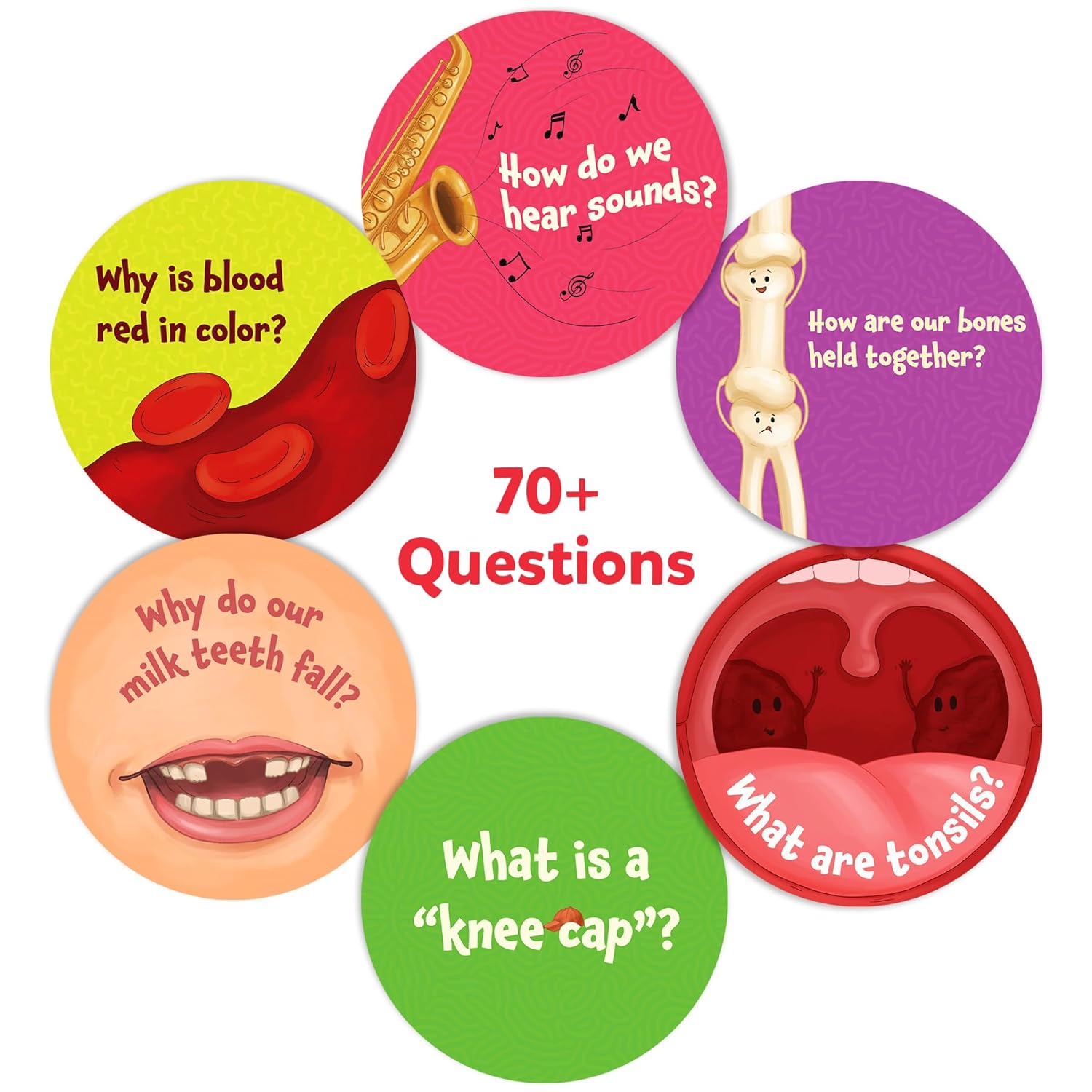 Skillmatics Flash Cards - Science Snippets The Human Body - Image 6