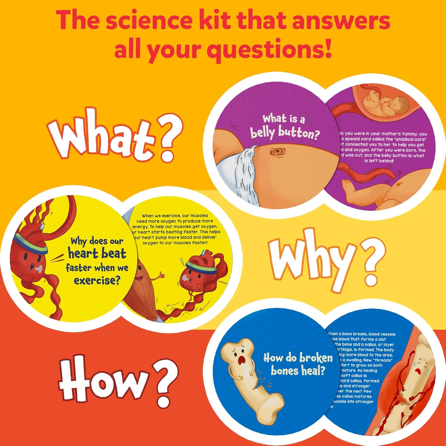 Skillmatics Flash Cards - Science Snippets The Human Body - Image 4