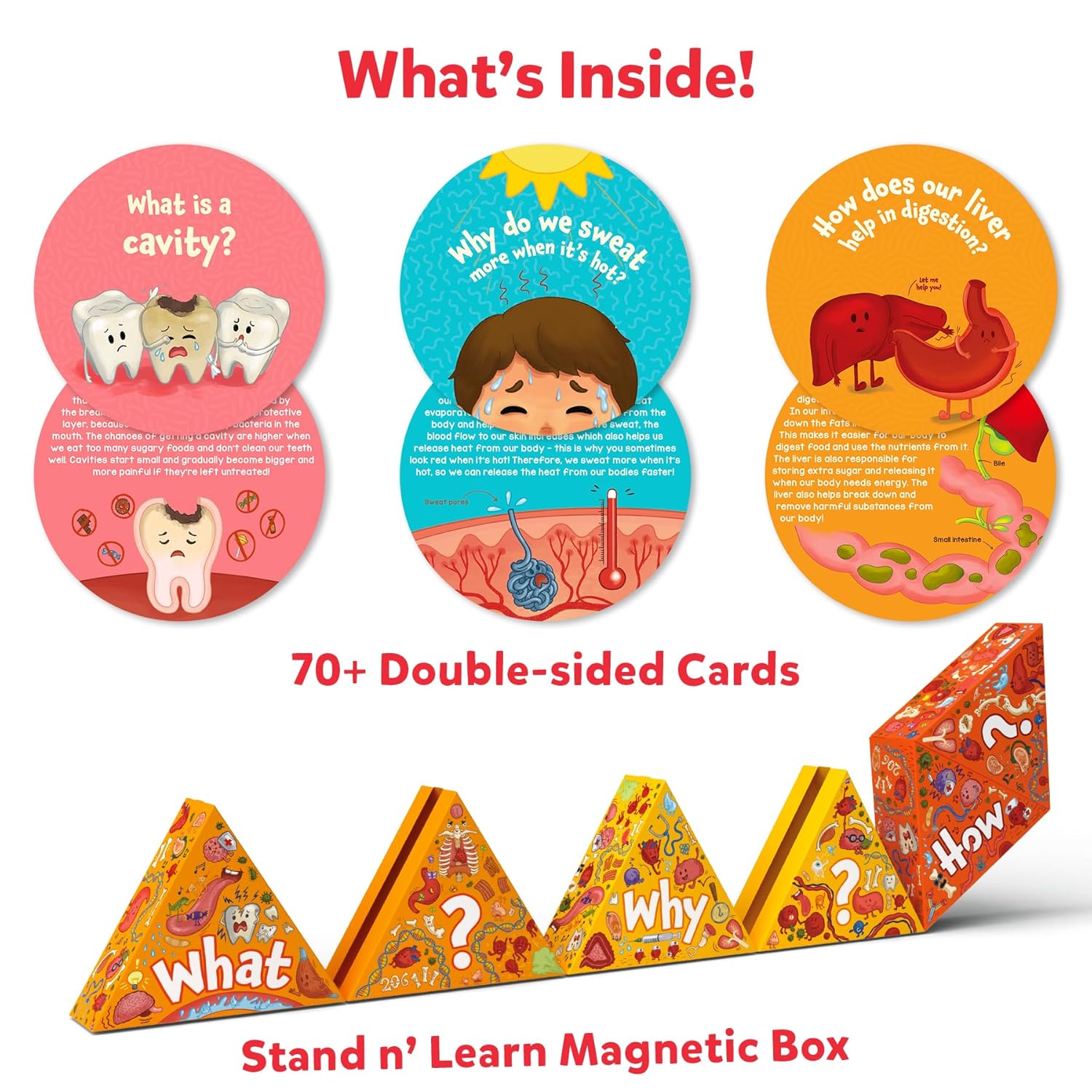 Skillmatics Flash Cards - Science Snippets The Human Body - Image 2