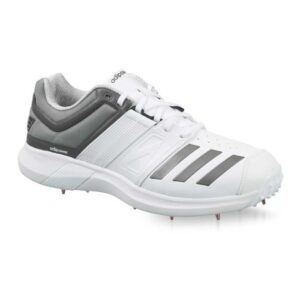 Vector Cricket Shoes (White/Grey)